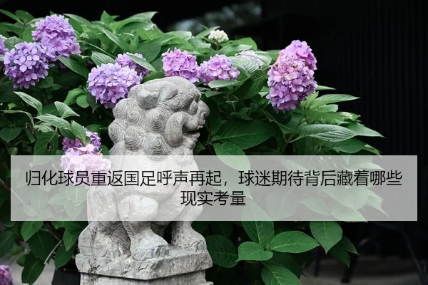 img_1780854115878_1_2_473.jpg