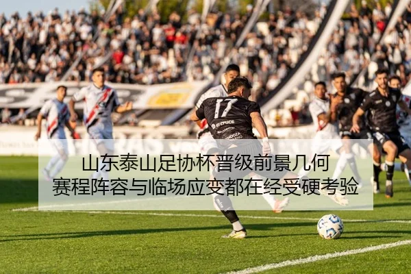 山东泰山足协杯晋级前景几何 赛程阵容与临场应变都在经受硬考验